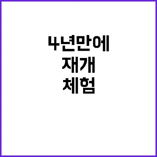 용산기지 체험 4년…