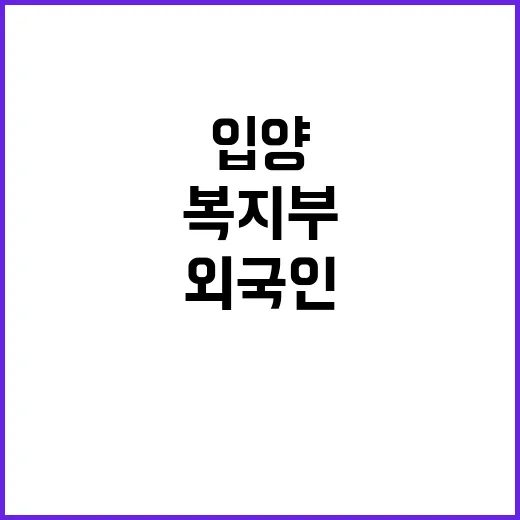 외국인 입양신청 복…