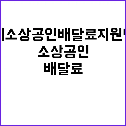 “영세 소상공인 배달료 지원 방안의 진실은?”