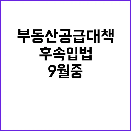 부동산 공급 대책 …