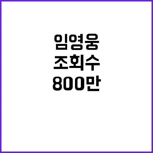 임영웅 Polaroid 800만 조회수 감성의 정수!