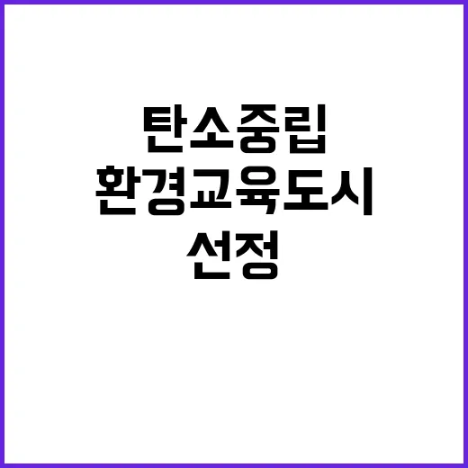 의료비 돌려주기 2조 6278억 원의 기적!