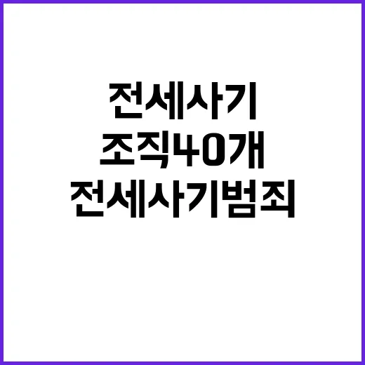 전세사기 범죄조직 40개 적발 충격의 진실 공개!