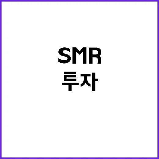 예산 2769억 원 SMR 안전성 투자 매력 제안!