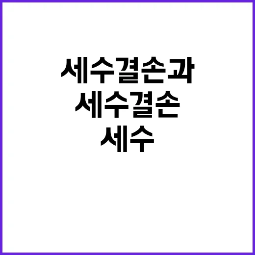 국채 발행 세수 결…