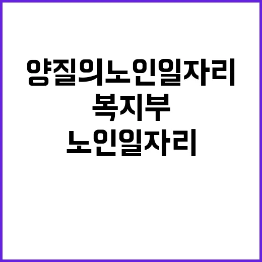 양질의 노인일자리 …