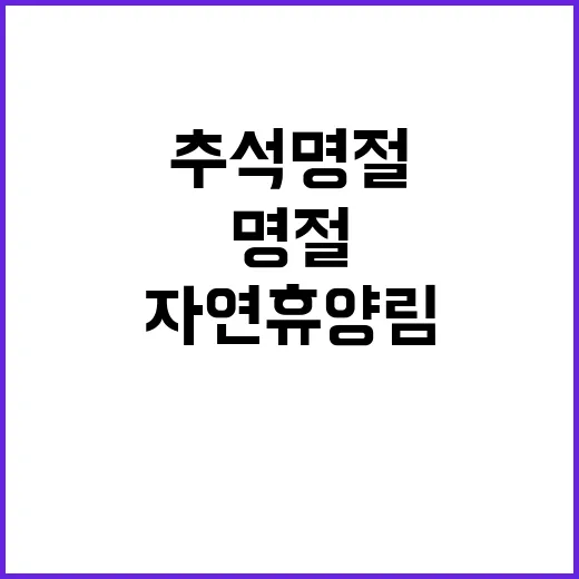 힐링 자연휴양림 추석 명절 118곳 정리!