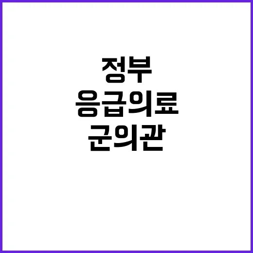 응급의료 정부의 군…