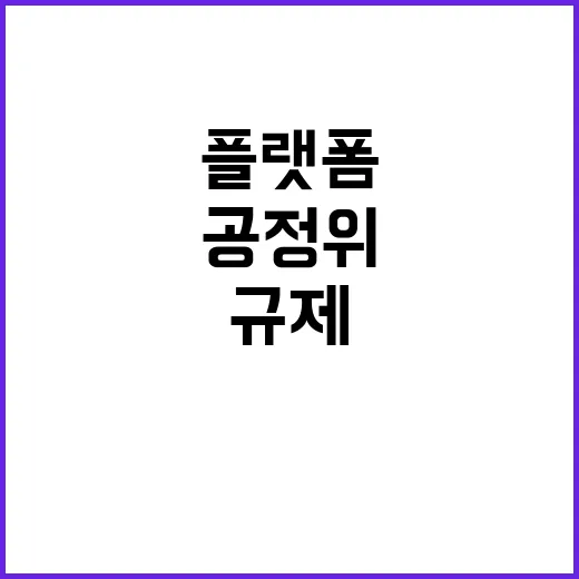 플랫폼 규제 신호탄…