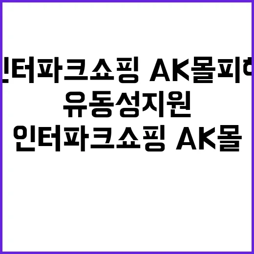 유동성 지원 인터파크쇼핑·AK몰 피해기업 구제!