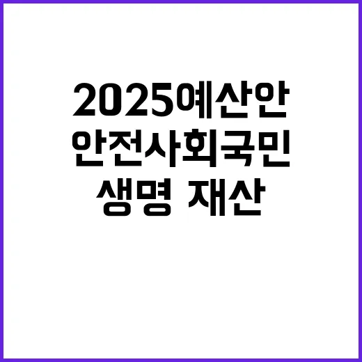 안전 사회 국민 생명·재산 보호 위한 2025 예산안!