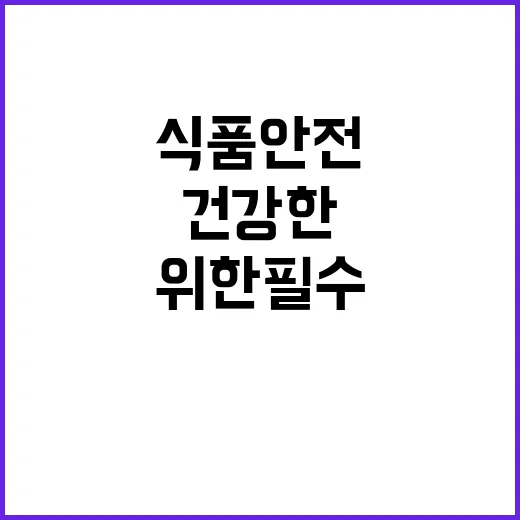 식품 안전 건강한 …