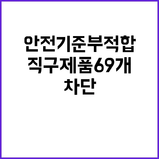 안전기준 부적합 알리·테무 직구 제품 69개 차단!