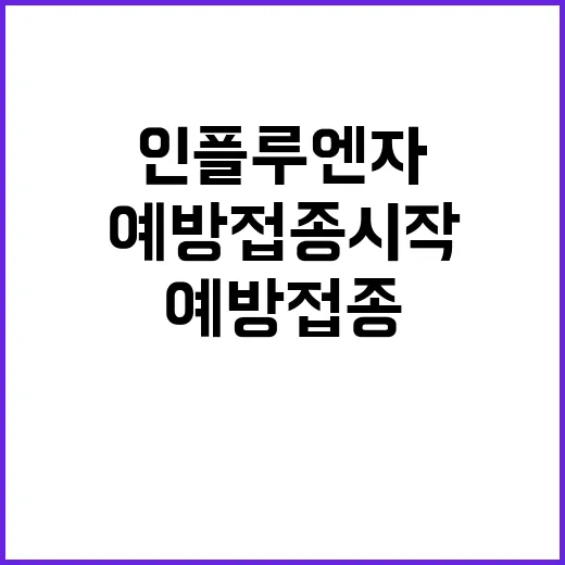 인플루엔자 예방접종…