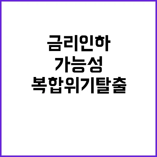 “금리 인하 글로벌…