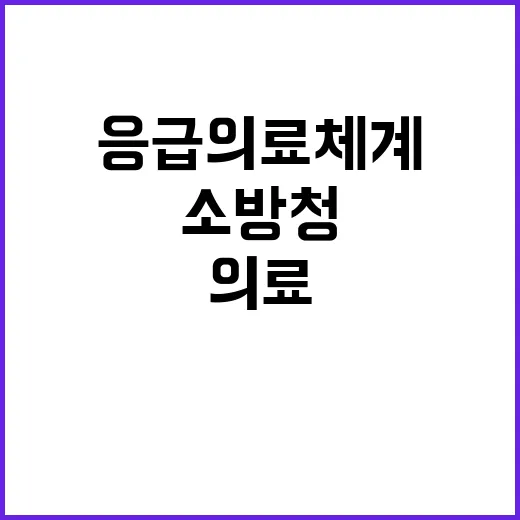 소방청 응급의료체계…