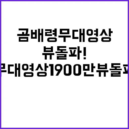 곰배령 무대영상 1900만뷰 돌파! 팬들의 열광!