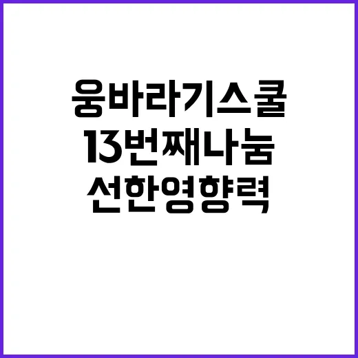 웅바라기스쿨 13번째 나눔으로 선한 영향력 발휘!