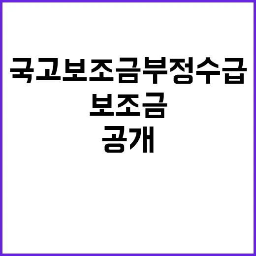 국고보조금 부정수급…