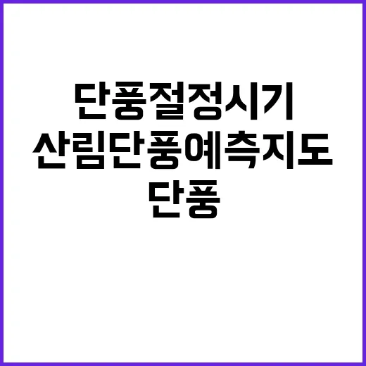 단풍 절정 시기 산림단풍 예측지도 공개!