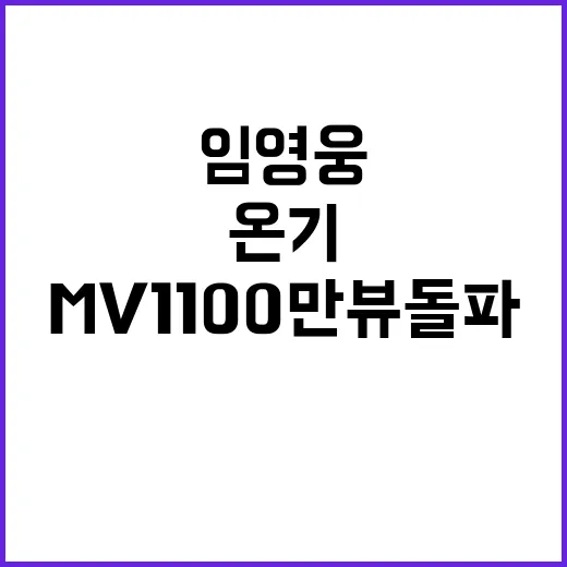 임영웅 온기 MV 1100만뷰 돌파한 이유!