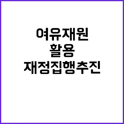 기금 여유재원 최대 활용한 재정집행 추진 계획!