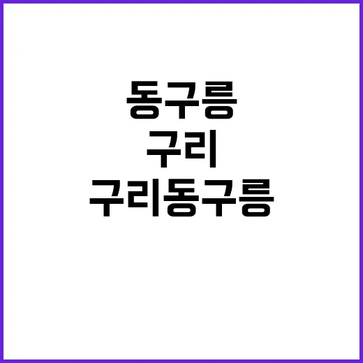 구리 동구릉 숲길 …