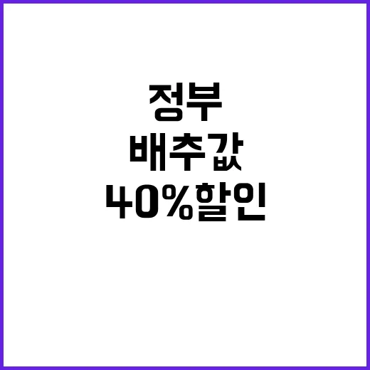 배추값 ‘40% 할…