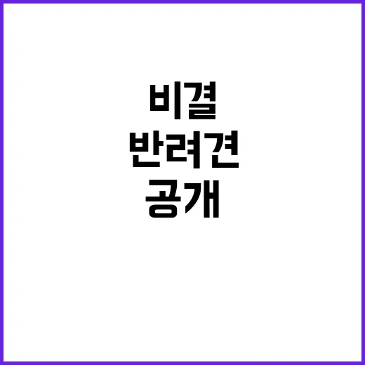 반려견 사람과의 행복한 동행 비결 공개!