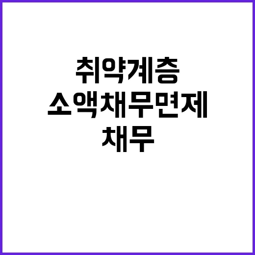 소액채무 면제 취약…