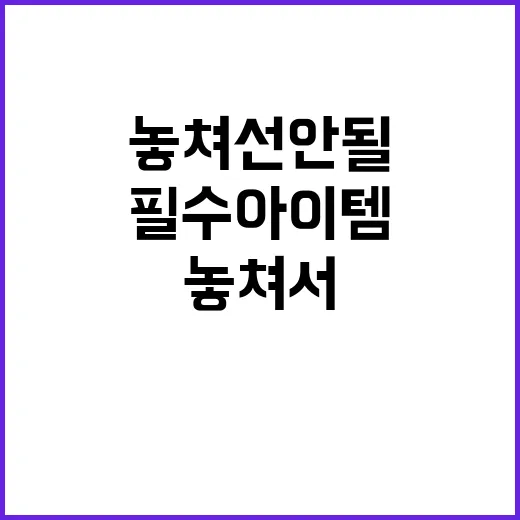 임산부 필수 아이템…