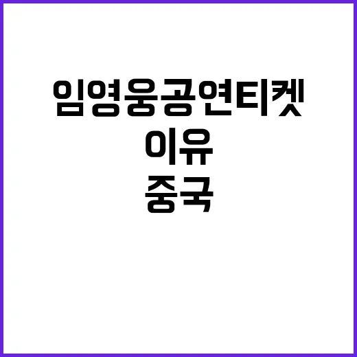 임영웅 공연 티켓 중국 해킹으로 날아간 이유!