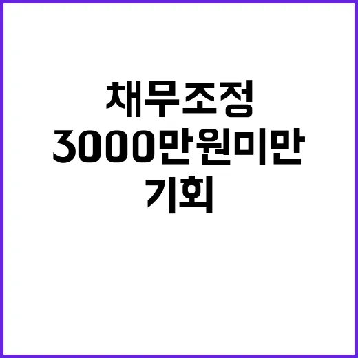 채무조정 3000만…