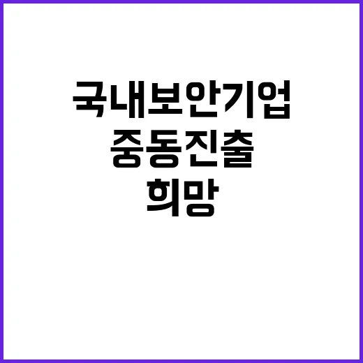 중동 진출 국내 보…