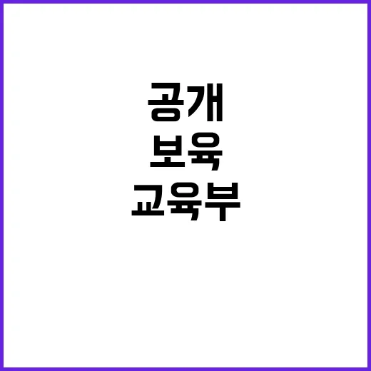 교육부 시간제 보육 서비스 혁신 비밀 공개!