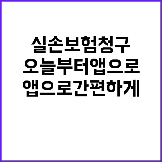 실손보험 청구 오늘…