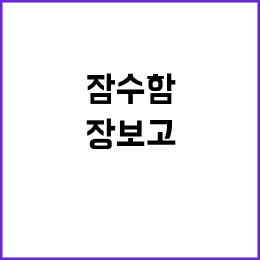 ‘장보고Ⅲ’ 잠수함…