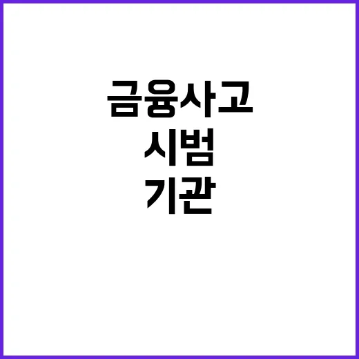 금융 사고 방지 1…