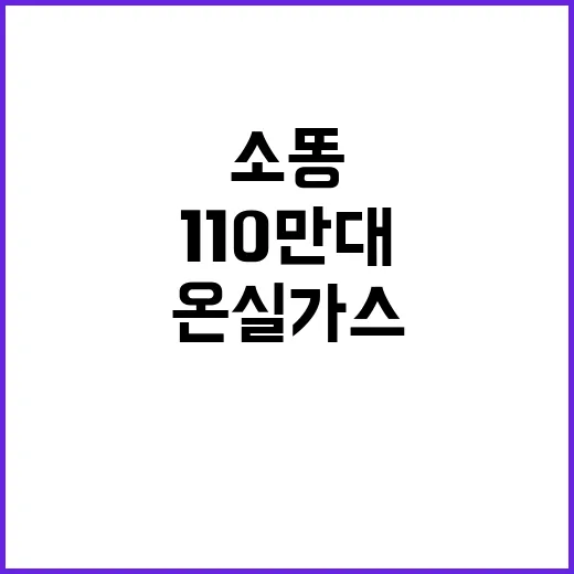 소똥 110만대 감…