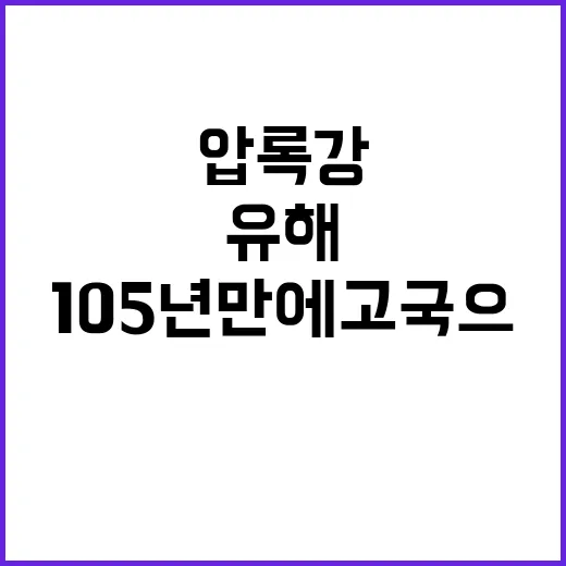 압록강 유해 105년 만에 고국으로 돌아왔다!