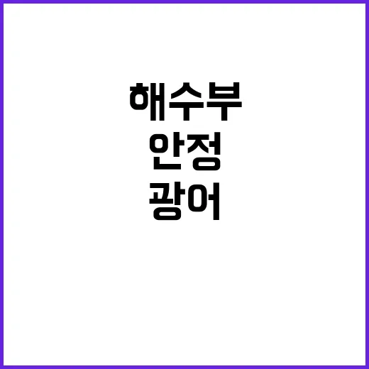 광어 수급 안정 해…