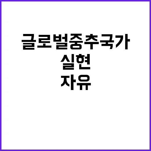 글로벌 중추국가 어…