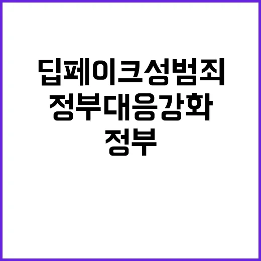 딥페이크 성범죄 정…