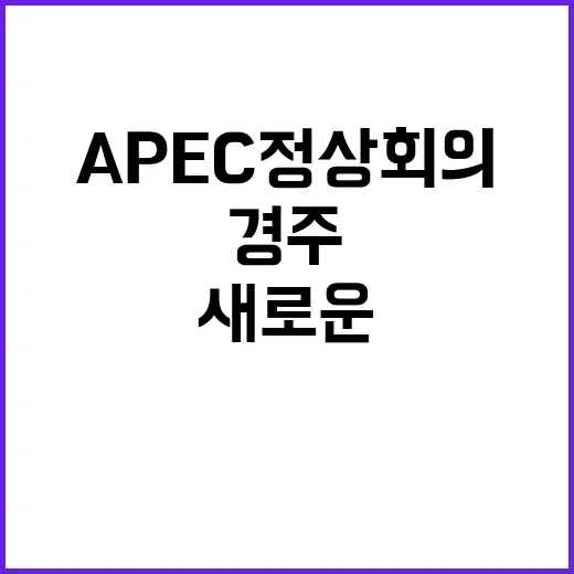 APEC 정상회의 …