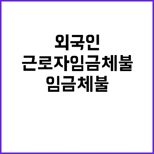 외국인근로자 임금체불 정부의 대응은 무엇일까?