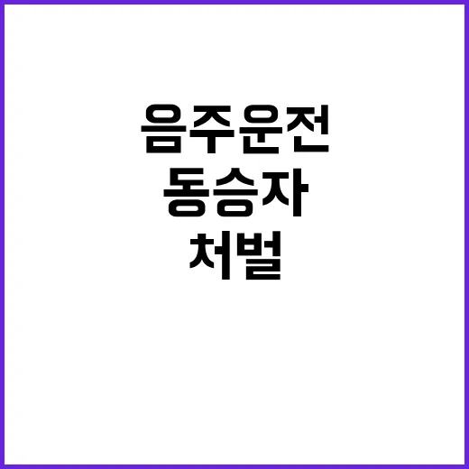 음주운전 처벌 동승…