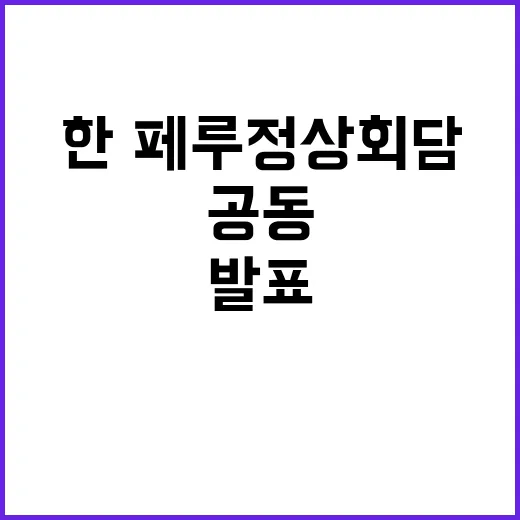 한·페루 정상회담 미래를 그리는 공동 발표!