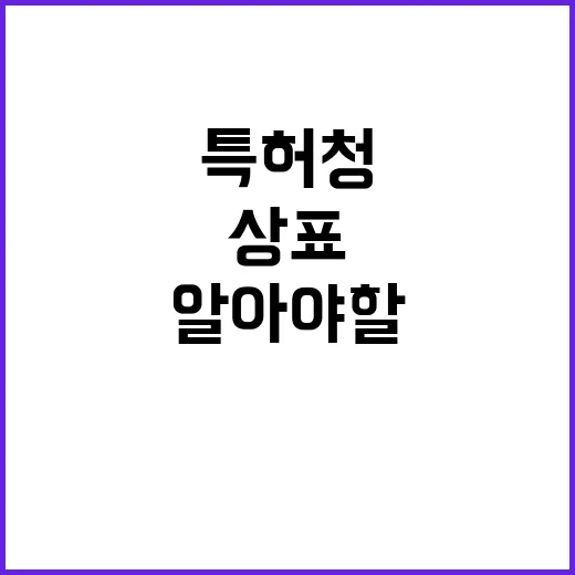 상표심사 특허청의 단축 약속! 당신이 알아야 할 사실.