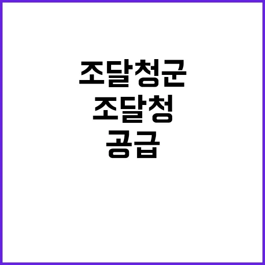 조달청 군 피복류 …