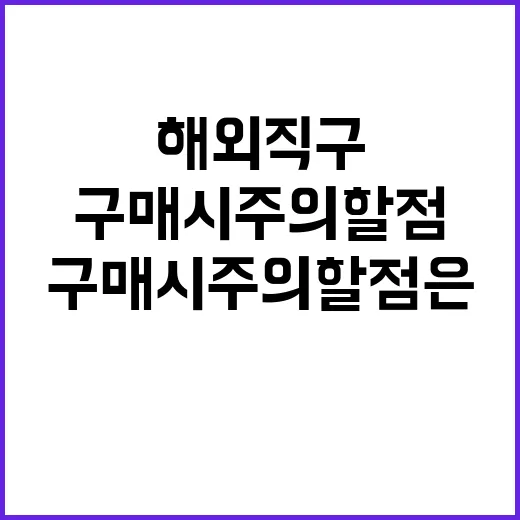 “연말 해외직구 구…